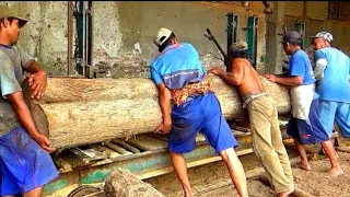 arguing during the process of sawing the super long and large teak wood.