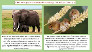 Урок біології, 11 клас, тема: «Механізми регуляції густоти та чисельності популяцій», вч. Олей Н.Г.