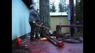 Dropping a tree between 2 houses