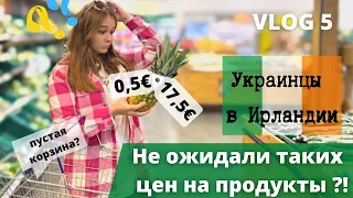 РЕАЛЬНЫЕ ЦЕНЫ НА ПРОДУКТЫ В ИРЛАНДИИ: УШЛИ С ПУСТОЙ КОРЗИНОЙ? СРАВНИВАЮ ЦЕНЫ В ПОПУЛЯРНЫХ МАГАЗИНАХ