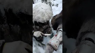Отзыв с охоты из Иркутской области | нож Соболь S90V