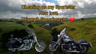 Cheating on my Sportster | New Love | Triumph Speedmaster
