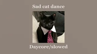 «Sad cat dance» slowed/daycore [Echo]