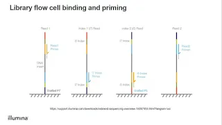 Sequencing: How to Plan Your First Sequencing Project