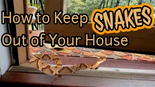 How to KEEP SNAKES OUT of Your House. 🚫🐍🏠