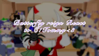 {Butterfly Reign react to c!tommy} ~sbi+ranboo~ [NOT CANON]