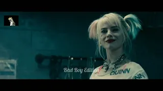 Birds of prey joker (Slerena safari song#like