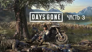 Жизнь после ( DAYS GONE) прохождение ps4 ЧАСТЬ 3 на русском