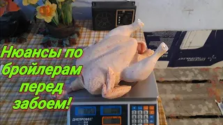 Нюансы перед забоем бройлера!