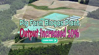 Pig Farm Biogas Plant Renewable Energy Output Increased 10%+ While Reducing Impact
