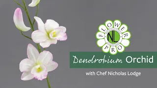 Dendrobium Orchid | Make Flower Pro Ultimate Orchids For Cakes & Crafts Part 1