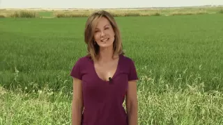 Rice - America's Heartland: Episode 904