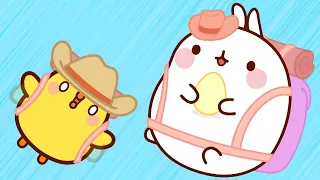 Aventuras de Molang e Piu Piu 🥚 Os ovos 🥚| Funny Cartoons | Molang Portugese