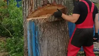 Удаление дерева с оттяжкой. TreeService.