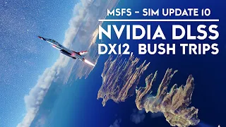 Microsoft Flight Simulator - Sim Update 10 - What Is It About?