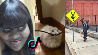 UNUSUAL MEMES COMPILATION #39