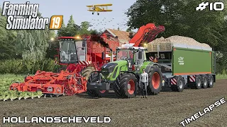 SUGARBEET harvest with MrsTheCamPeR | Animals on Hollandscheveld | Farming Simulator 19 | Episode 10