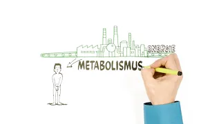 Metabolismus – o přeměně látek – NEZkreslená věda III