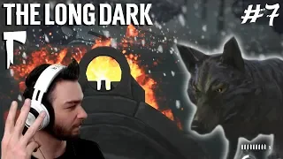 Вальнул 3-х ВОЛКОВ ЗА РАЗ ● Эпизод второй ● The Long Dark #7