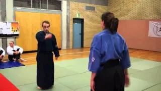 VFK Kombiseminar Aikido - Aikibudo