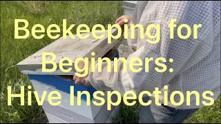 First Hive Inspection since February! Basic Beekeeping for Beginners - Hive Inspections