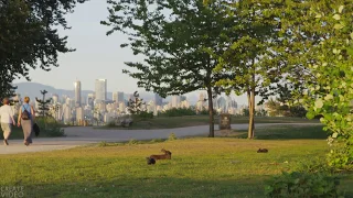 🎧  City Park Sounds Effects From Jericho Beach in Vancouver, BC w/Rabbits, Pedestrians, Cyclists