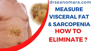 How to know, measure & evaluate your Visceral Fat & Sarcopenia: What it Is & How To Eliminate Each.