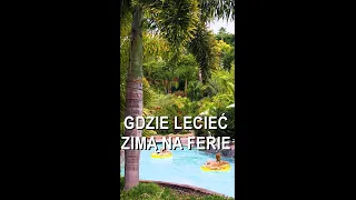 Gdzie POLECIEĆ w ZIMIE aby było CIEPŁO? Wyspy Kanaryjskie. Siam Park i Loro Park. #shorts 40