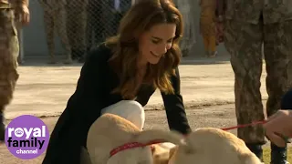 Duke and Duchess of Cambridge Play With Puppies in Pakistan