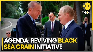 Erdogan to meet Putin in hopes of convincing the latter to revive Black Sea Grain deal | WION