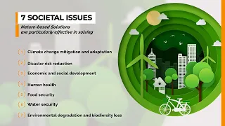 1.1 – What are nature-based solutions (NbS)? [NbS for the local communities]