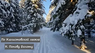 Калистовская лыжня. Участок до Попова болота