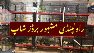 Rawalpindi Famous birds Shop | exotic and rare birds | birds Market@zakirhussainshah6234