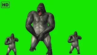 Gorilla 🦍 green screen video hd no copyright free use || Green screen gorilla chimpanzee hd 2k