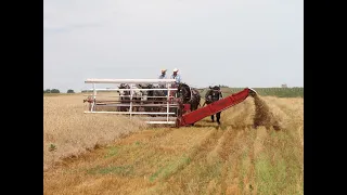 Humboldt Threshing Bee