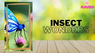 Discovering the Incredible World of Insects - Fun & Educational for Kids