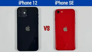 iPhone 12 vs iPhone SE Speed Test & Camera Comparison