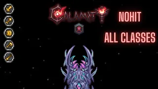 Terraria Calamity: The  Devourer of Gods Master Death Mode No Hit All Classes