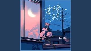 若月亮没来 (DJ小瑞版)