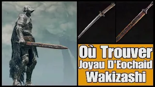 Elden Ring - Wakizashi & Joyau D'Eochaid / Dague & Épée