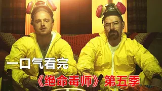 一口气看完高分美剧《绝命毒师》第五季合集 【电影迷小雅】