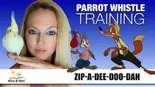 Zip-A-Dee-Doo-Dah ~ Parrot Whistle Training