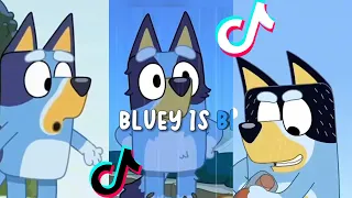 Bluey TikToks Compilation 2023 #99