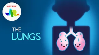 What Are Lungs? 💨 StoryBots: The Human Body for Kids | Netflix Jr