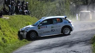 Rally Alba Regione Piemonte 2023 | SMALL CRASH, MISTAKES & SHOW!