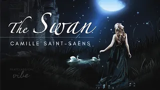 The Swan - Saint-Saëns extended (1 hour)
