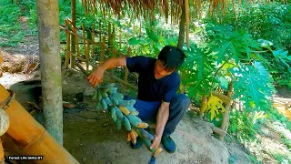 Actively cultivating, harvesting wild bananas - Survival instinct | Ep 163