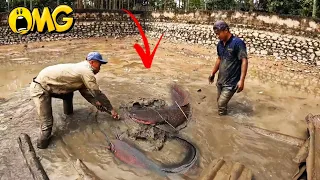 3 Hunter Catch 100 Ferocious Carnivorous Fish