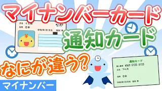 【徹底比較】マイナンバーカードと通知カードはココが違う【マイナンバー】