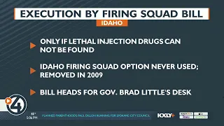 Idaho OKs veto proof bill to allow execution by firing squad